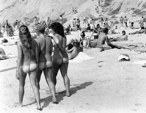 Nude girl blacks beach san diego 516X400 jpeg