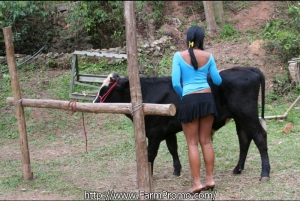 Celebrity fucking animals 800X536 jpeg