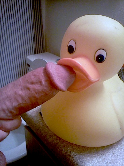Giant rubber ducky full size