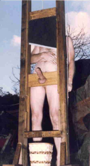 Femdom penis guillotine 437X800 jpeg