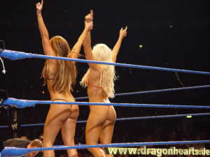 Wwe torrie wilson thong 640X480 jpeg
