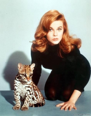 Ann margret redhead 472X600 jpeg