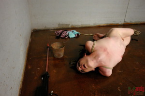 Shemale tranny anal slave torture 960X639 jpeg