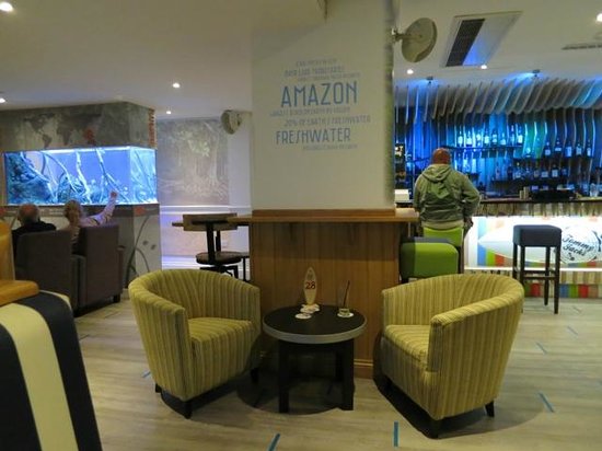 Asian themed fish tanks full size