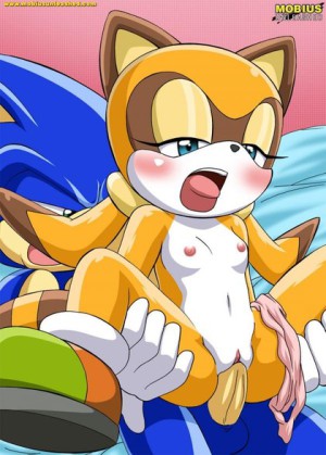 Sonic characters having sex 420X587 jpeg