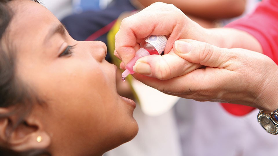 Oral polio vaccine full size