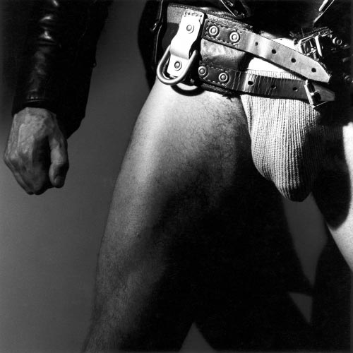 Robert mapplethorpe gay full size