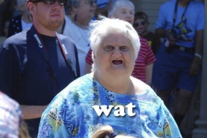 Old lady wat meme 604X404 jpeg