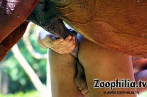Man knotted by dog 708X470 jpeg