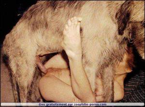 Porno femme et animal 595X440 jpeg