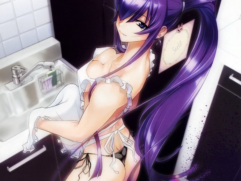 Anime high school of the dead saeko full size