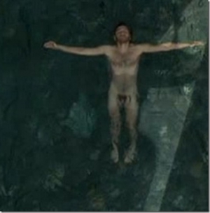 Emile hirsch naked nude 484X492 jpeg