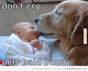 Ugly bald puppy 628X508 jpeg