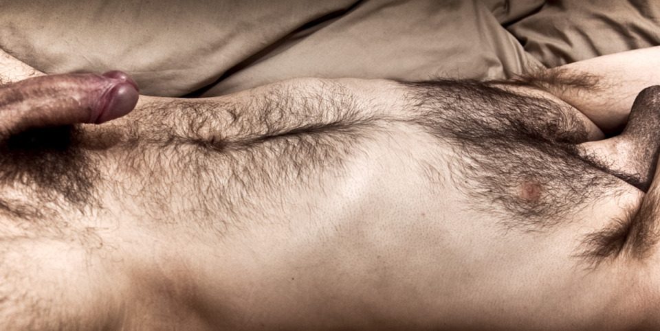 Sexy male pubic hair full size