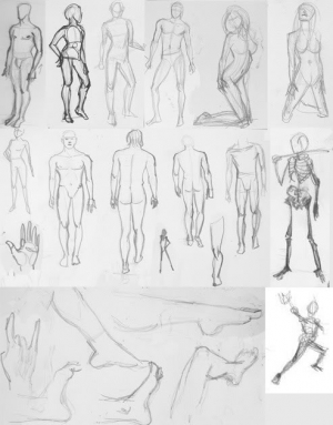 Pencil drawings of the human figure 493X631 jpeg