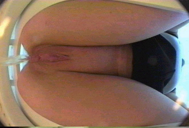 Public toilet voyeur full size