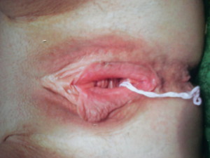 Pussy with tampon string 960X720 jpeg