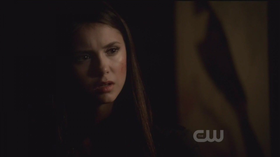 Katherine pierce and elena gilbert full size