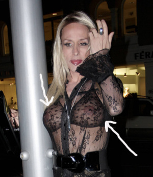 Alexis arquette nude 450X521 jpeg