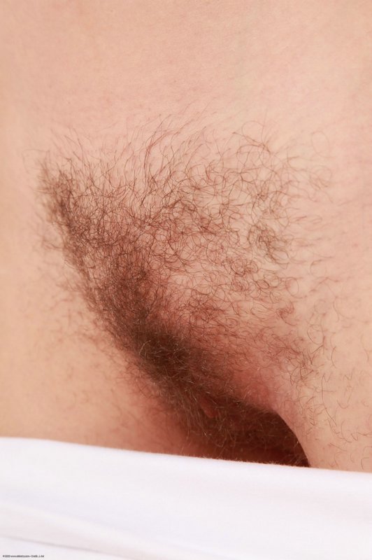 Jessica biel hairy pussy full size