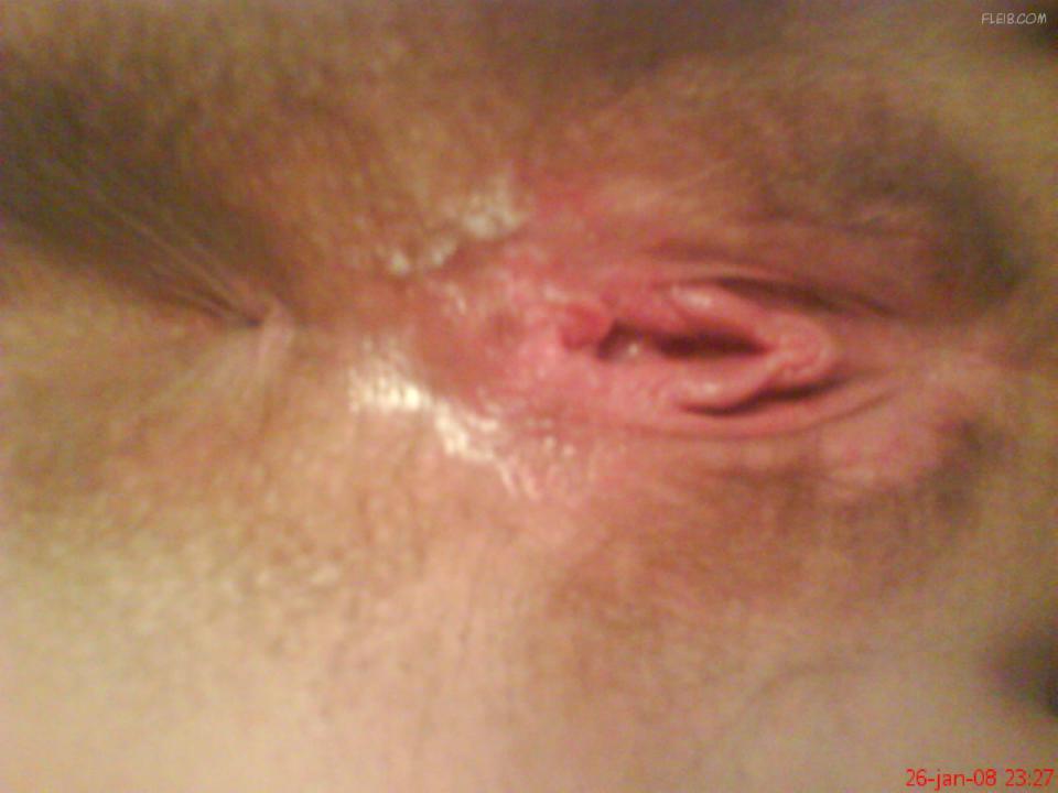 Norwegian pussy full size