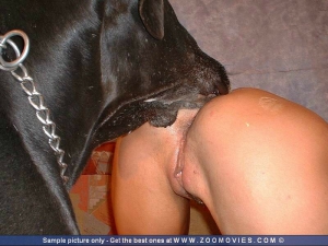 Sex videos girls fucked by dogs 800X600 jpeg