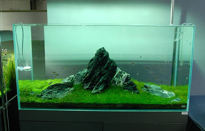 Hardscape aquarium design full size